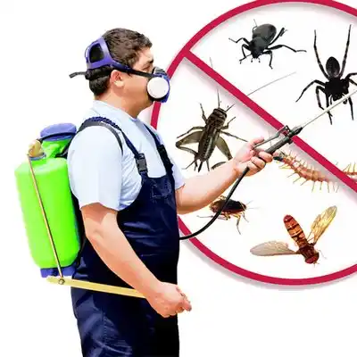pest control Van Wert